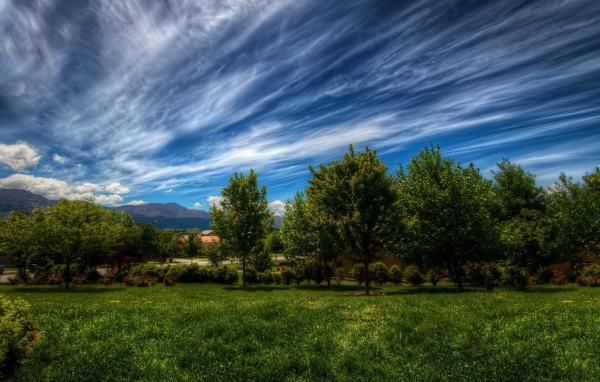 Красивое небо с облаками над деревьями