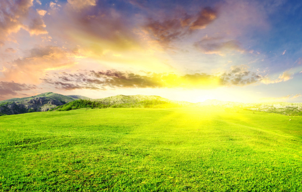 Восход солнца на зелеными полями 