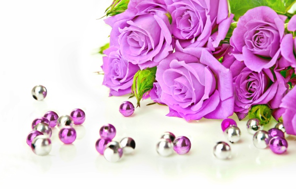 Красивые сиреневые розы на белом фоне с бусинами