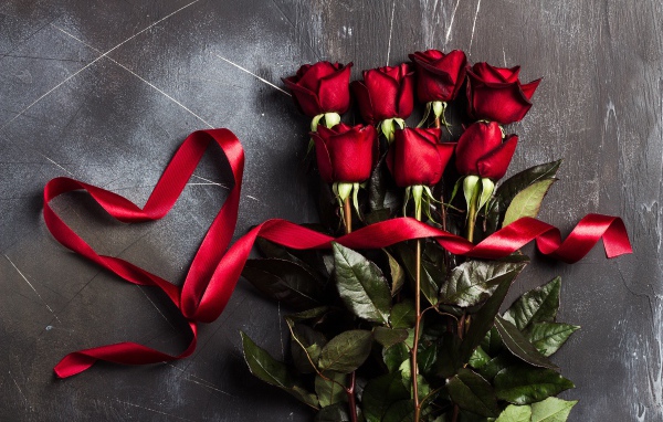 Букет красивых английских роз с красной лентой на сером фоне