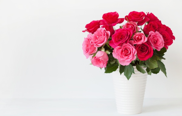 Букет красивых розовых роз в белой вазе на белом фоне