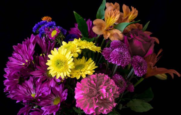 Букет разноцветных цветов на черном фоне крупным планом