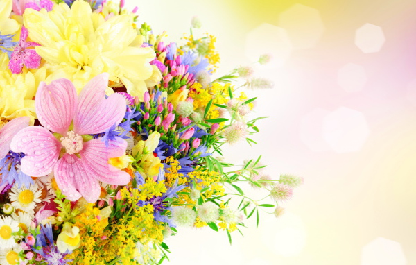 Букет разноцветных летних цветов на розовом фоне