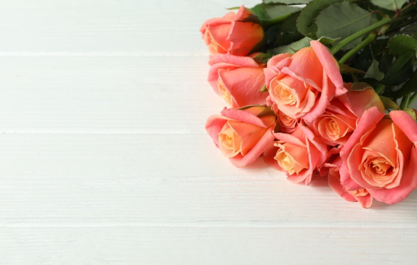 Букет нежных розовых роз на белом фоне