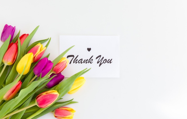 Букет разноцветных тюльпанов и надпись спасибо на белом фоне