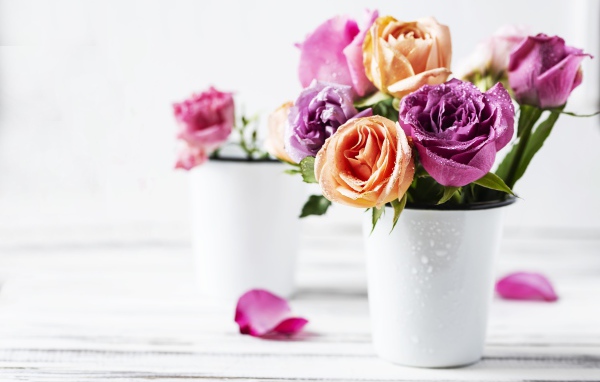 Букет роз в каплях воды на белом фоне