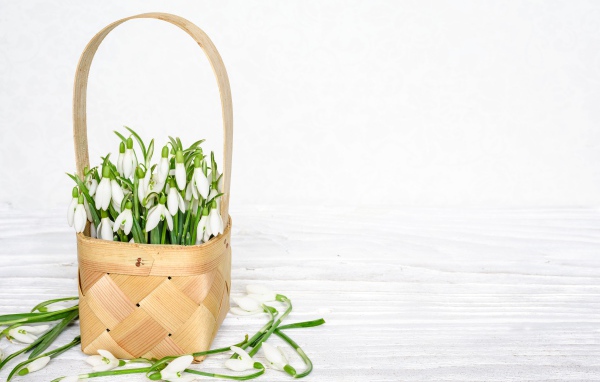 Букет подснежников в корзине на белом столе 