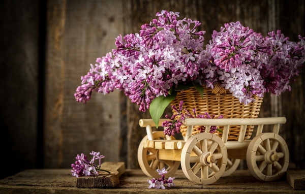 Букет весенней сирени в плетеной корзине