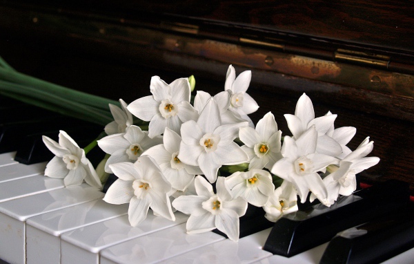 Букет белых нарциссов на кнопках пианино 