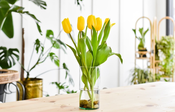 Bouquet of yellow tulips in a glass vase on the table