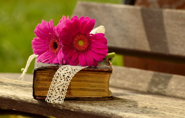 Цветы герберы со старой книгой на лавочке