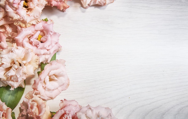 Розовые цветы эустомы на шаблоне для открытки 