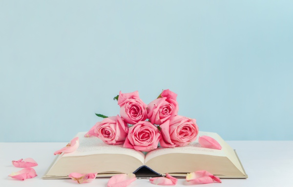 Розовые цветы розы с книгой на голубом фоне