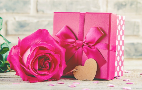 Розовая роза на столе с большим подарком с бантом