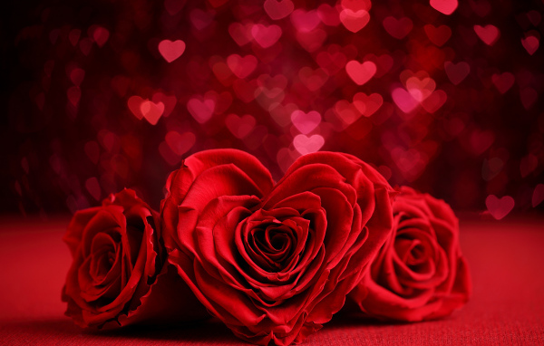 Красная роза в форме сердца на фоне с сердечками