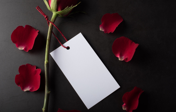 Лист бумаги, роза и лепестки на сером фоне
