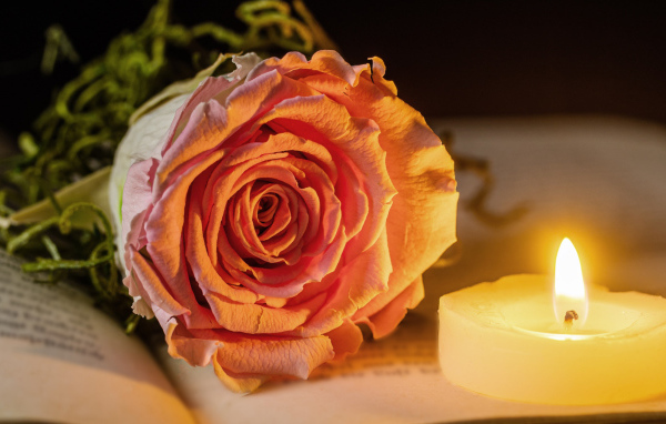 Нежная розовая роза с зажженной свечей лежат на книге