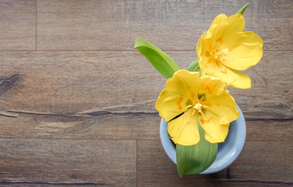 Два желтых тюльпана в вазе на деревянном столе 