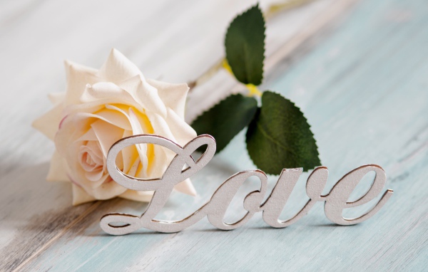 Белая надпись любовь на английском с белой розой