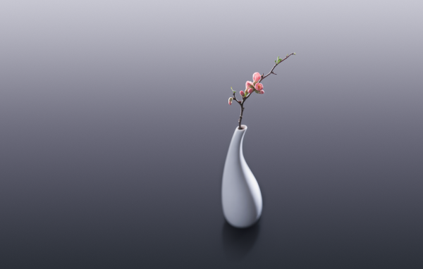 Белая ваза с веткой с розовыми цветами на сером фоне