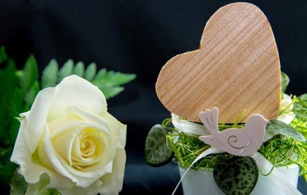 Деревянное сердце и белая роза на столе 