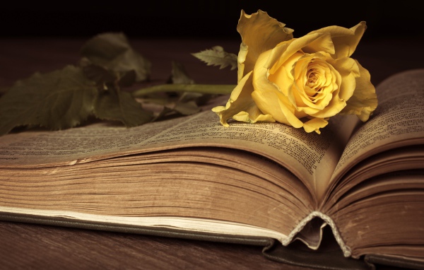 Желтая книга лежит на старой книге 