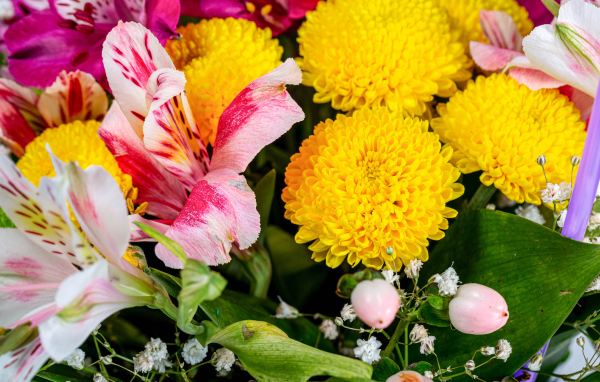 Желтые хризантемы и цветы альстромерии в букете 