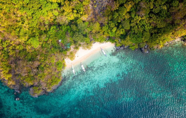Вид на голубую воду и лес сверху 