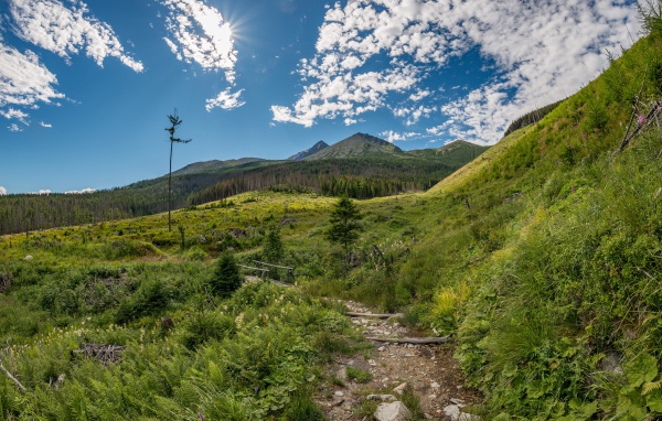 Красивая зеленая природа у гор под голубым небом