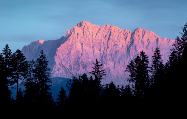 Высокие горы в лучах солнца у хвойного леса 