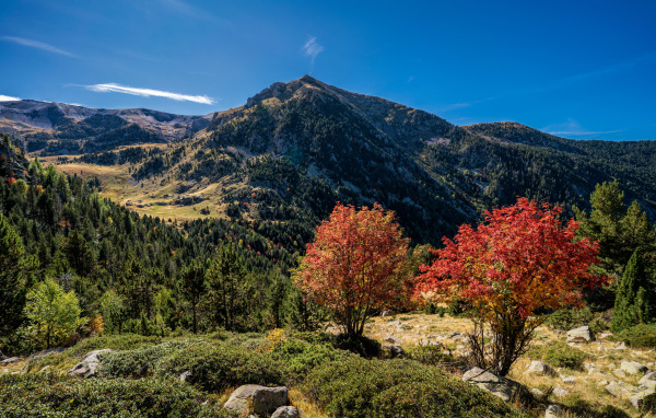 Вид на гору под голубым небом