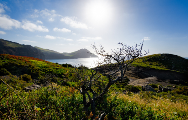 Зеленые утесы у моря на фоне яркого солнца