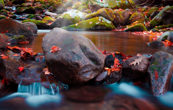 Большие мокрые камни с мхом в реке