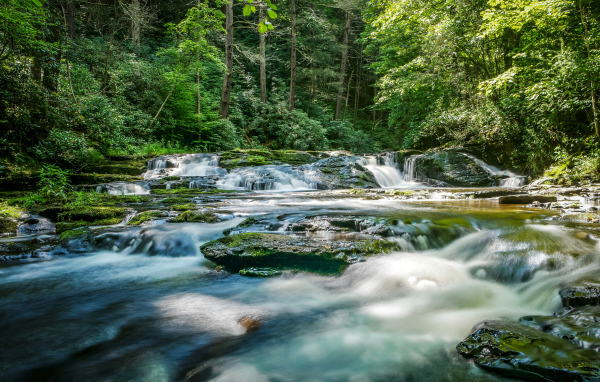 Быстрая река стекает по камням в лесу 