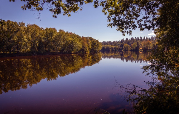 Рассвет над тихой водой реки в лесу 