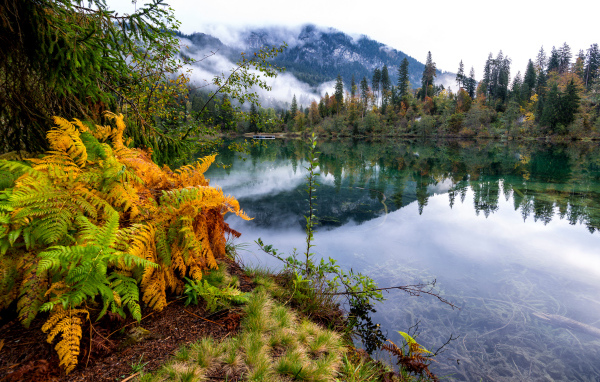 Туман покрывает горы у спокойного озера на рассвете 