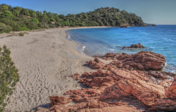 Камни на берегу моря у леса 