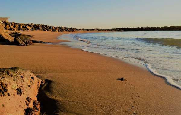 Камни на мокром песке к моря 