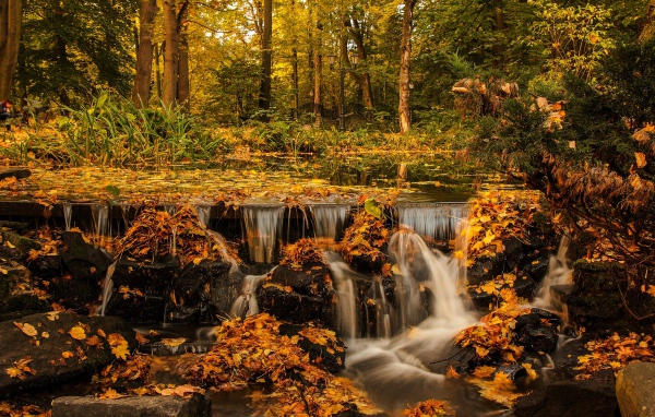 Вода реки стекает по камням в осеннем лесу