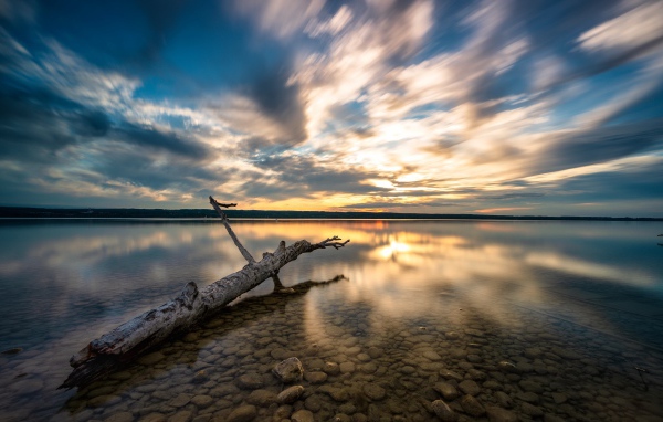 Старое дерево лежит в воде на закате солнца 