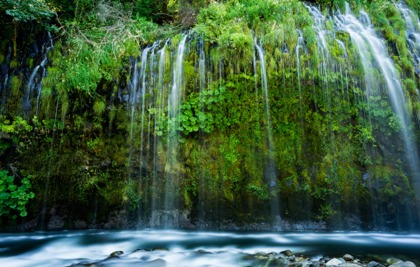 Красивый водопад стекает по покрытом зеленью утесе 