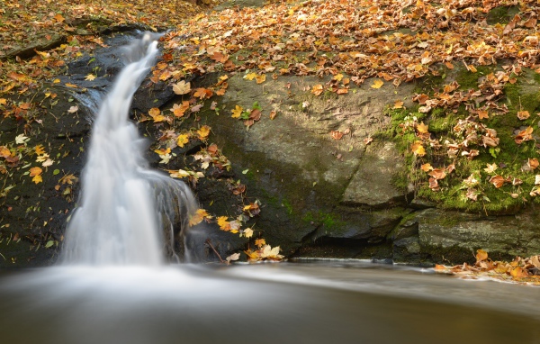 Маленький водопад стекает в реку по покрытым опавшими листьями камням