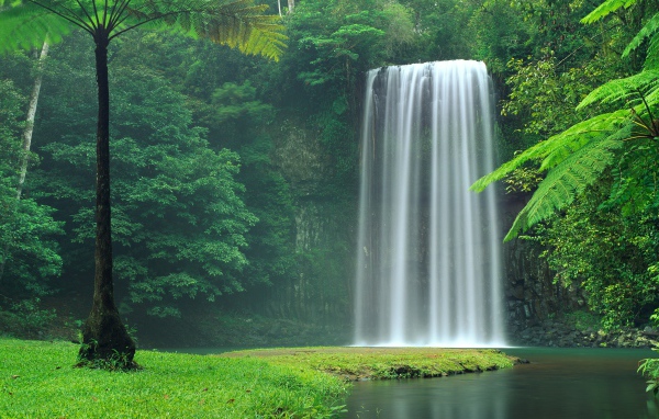 Водопад Миллаа Миллаа  в зеленых зарослях, Австралия