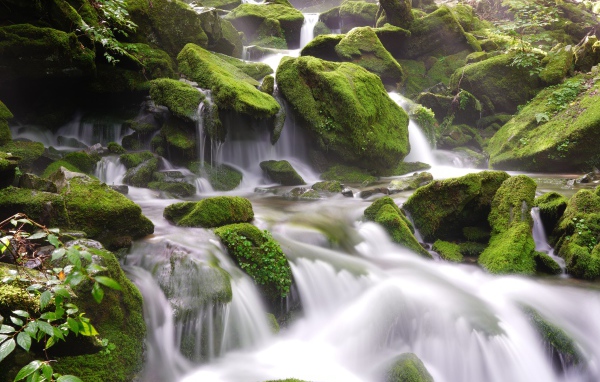 Быстрая вода водопада стекает по большим покрытым мхом камням