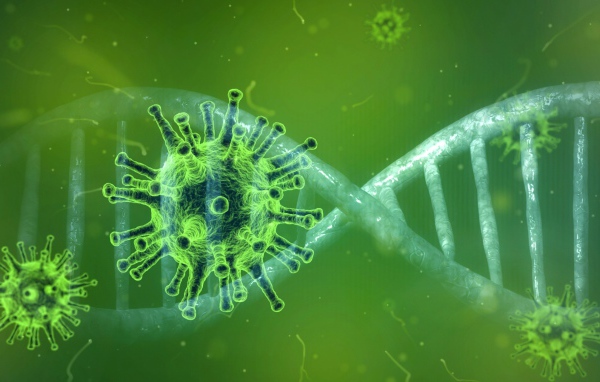 Зеленые коронавирусы COVID-19 в РНК