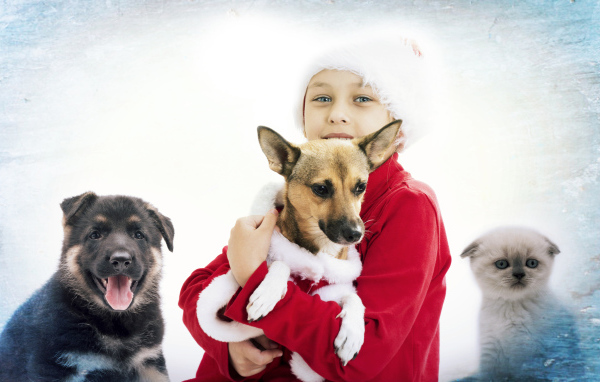 Голубоглазая девочка с собаками и котенком