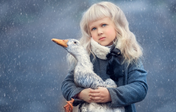 Маленькая девочка блондинка с голубыми глазами с гусем в руках