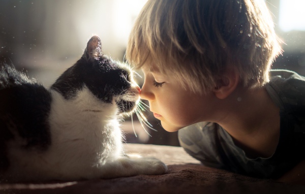Маленький мальчик лежит с котом 