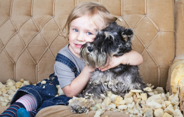 Маленький мальчик сидит на диване с собакой породы Шнауцер