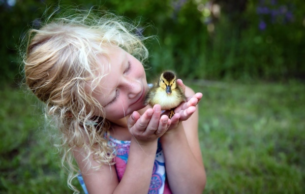 Маленькая милая девочка с утенком в руке